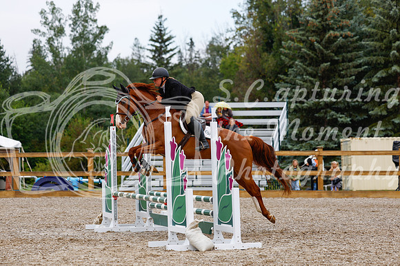 2025 - Haylee - Picco Horse Show - Sunday July 27th 01524