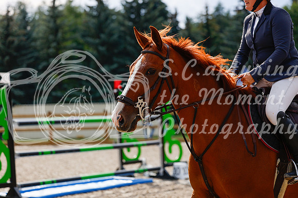 2025 - Haylee - Picco Horse Show - Saturday July 26th 08583