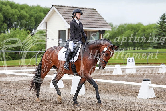 2025 - Dressage Festival - Sunday July 6th - 00822