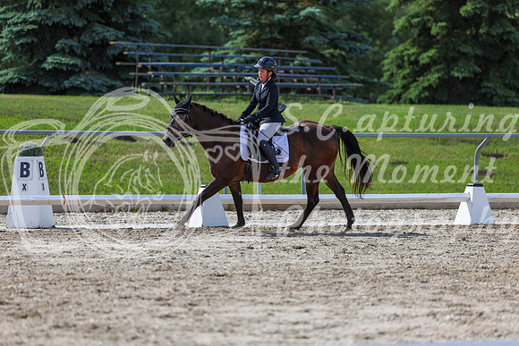 2025 - Dressage Festival - Saturday July 5th - 15541