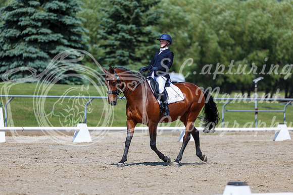 2025 - Dressage Festival - Saturday July 5th - 05645
