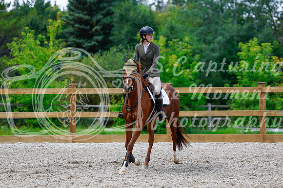 2025 - Haylee - Picco Horse Show - Saturday July 26th 06065
