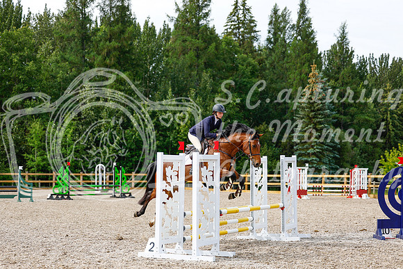 2025 - Haylee - Picco Horse Show - Thursday July 24th 01534