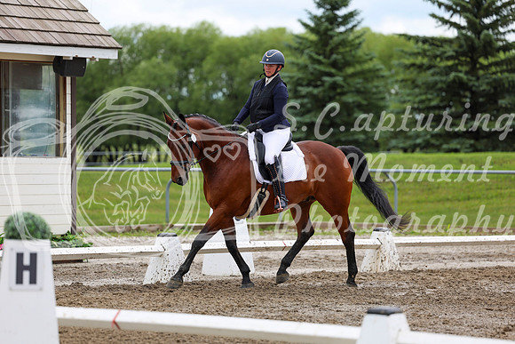 2025 - Dressage Festival - Sunday July 6th - 11813