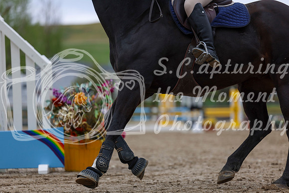 2025 - Shea - Bow Valley II - Thursday May 15th - 03049