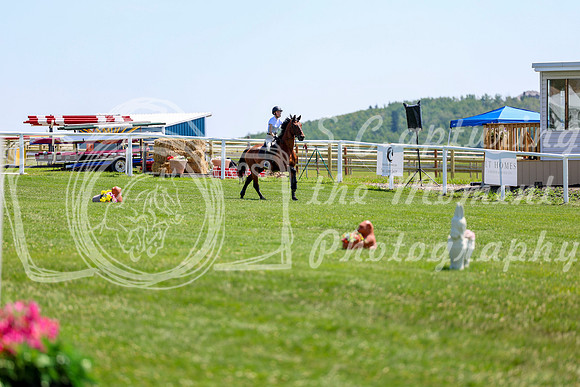 2025 - Shea - Teesdale - Thursday July 24th - 01630