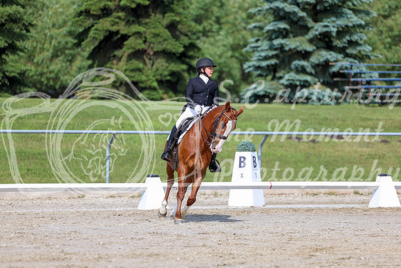 2025 - Dressage Festival - Saturday July 5th - 02668