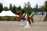 2025 - Haylee - Picco Horse Show - Sunday July 27th 00777