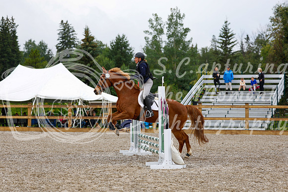 2025 - Haylee - Picco Horse Show - Sunday July 27th 00777