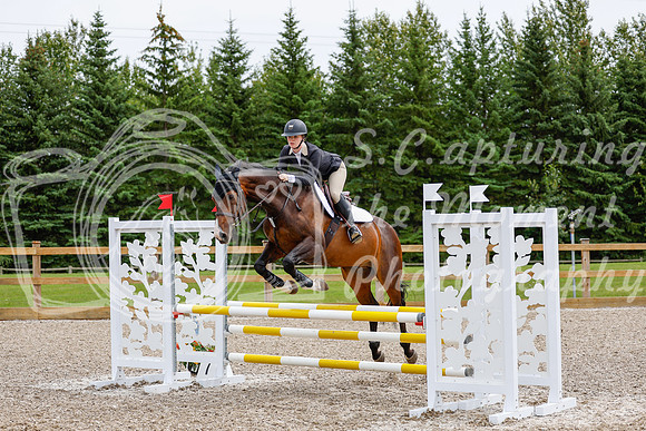 2025 - Haylee - Picco Horse Show - Friay July 25th 02488