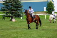 2025 - Shea - Teesdale - Thursday July 24th - 03650