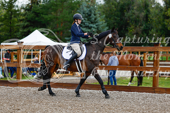 2025 - Haylee - Picco Horse Show - Friay July 25th 00102