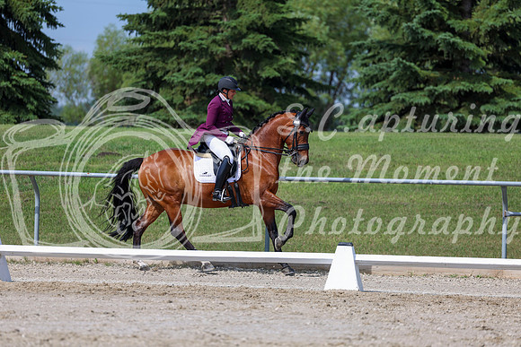 2025 - Dressage Festival - Saturday July 5th - 03086
