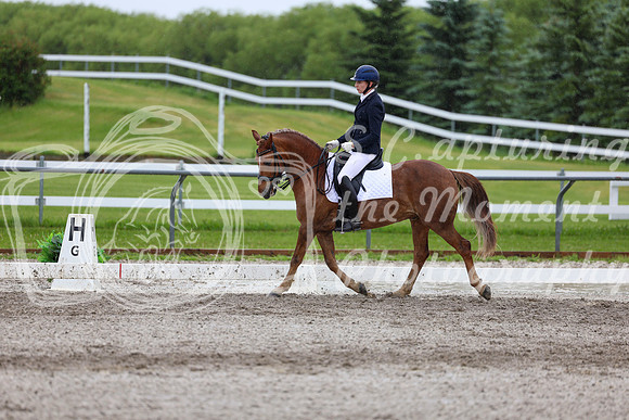 2025 - Dressage Festival - Sunday July 6th - 07638