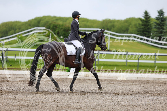 2025 - Dressage Festival - Sunday July 6th - 04553