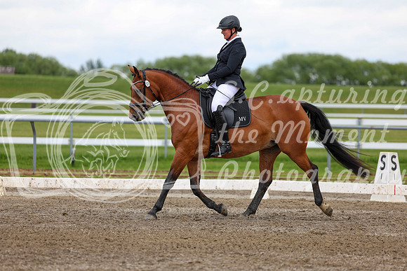 2025 - Dressage Festival - Sunday July 6th - 11721
