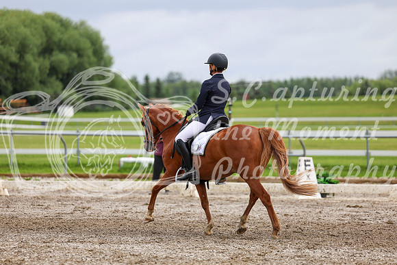2025 - Dressage Festival - Sunday July 6th - 12333