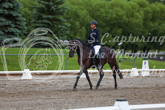 2025 - Dressage Festival - Sunday July 6th - 01880