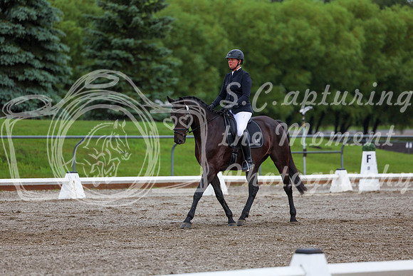 2025 - Dressage Festival - Sunday July 6th - 01881