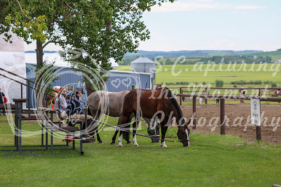 2025 - Shea - Teesdale - Thursday July 24th - 00002