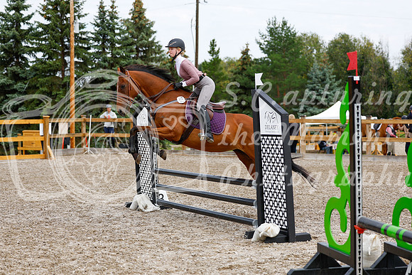 2025 - Haylee - Picco Horse Show - Saturday July 26th 01686