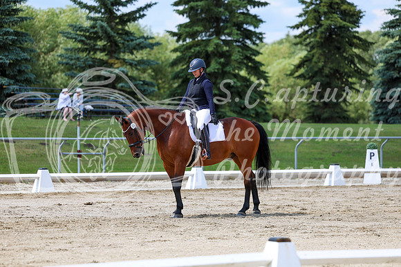 2025 - Dressage Festival - Saturday July 5th - 09726