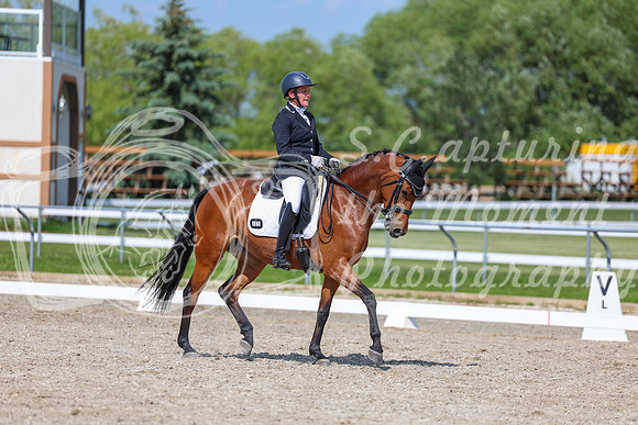 2025 - Dressage Festival - Saturday July 5th - 15513