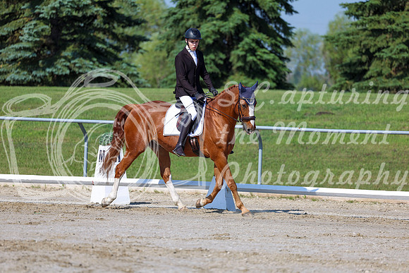 2025 - Dressage Festival - Saturday July 5th - 01708
