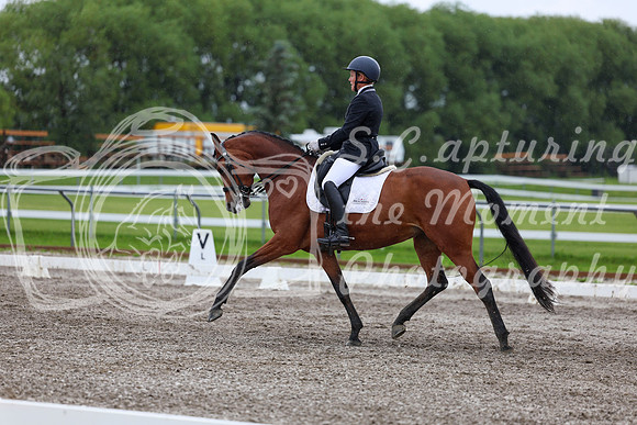 2025 - Dressage Festival - Sunday July 6th - 06577