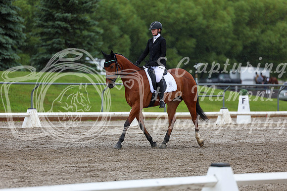 2025 - Dressage Festival - Sunday July 6th - 07250
