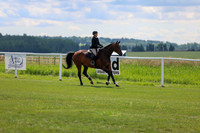 2025 - Shea - Teesdale - Friday July 25th - 05308