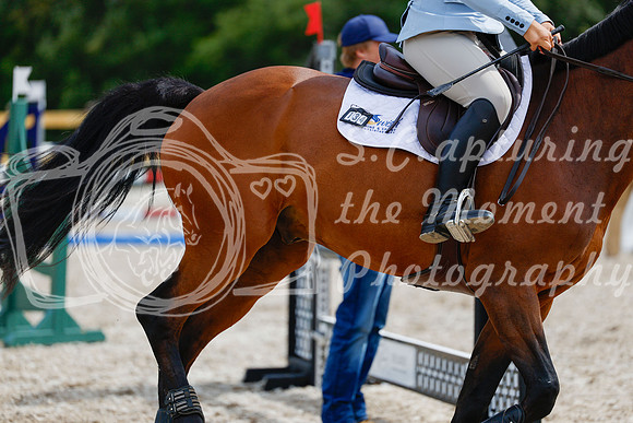 2025 - Haylee - Picco Horse Show - Friay July 25th 04604
