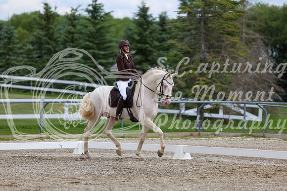2025 - Dressage Festival - Saturday July 5th - 12143
