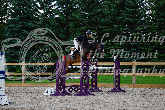 2025 - Haylee - Picco Horse Show - Sunday July 27th 06938
