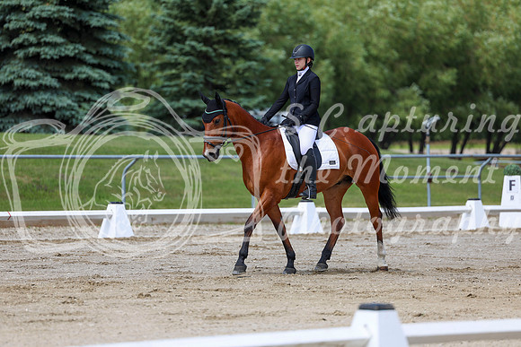 2025 - Dressage Festival - Saturday July 5th - 07295
