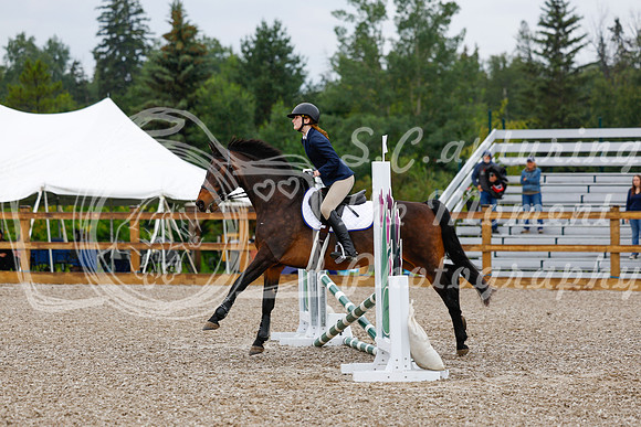 2025 - Haylee - Picco Horse Show - Sunday July 27th 00137