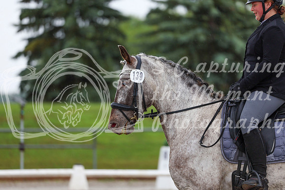 2025 - Dressage Festival - Sunday July 6th - 02301