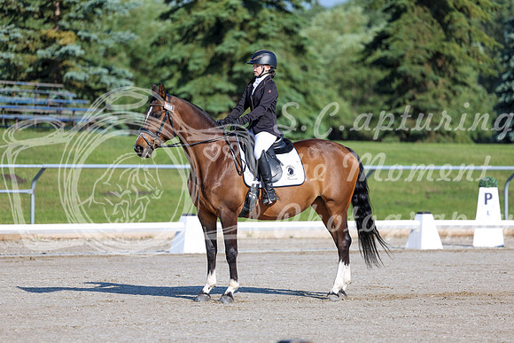 2025 - Dressage Festival - Saturday July 5th - 00429