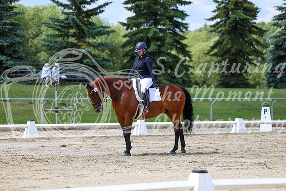 2025 - Dressage Festival - Saturday July 5th - 09725