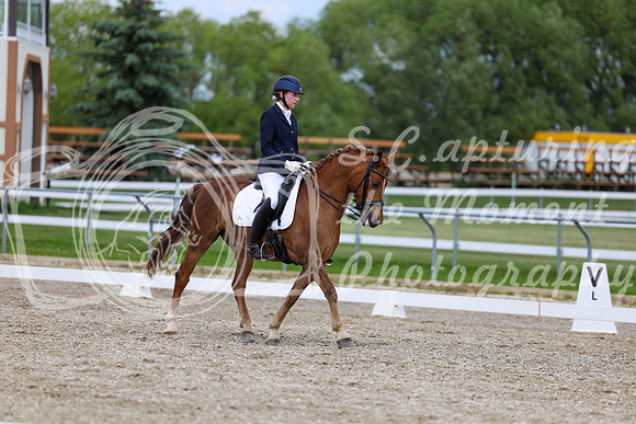 2025 - Dressage Festival - Saturday July 5th - 11851