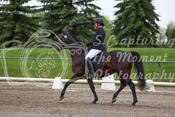 2025 - Dressage Festival - Sunday July 6th - 01904