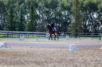 2025 - Dressage Festival - Saturday July 5th - 02328