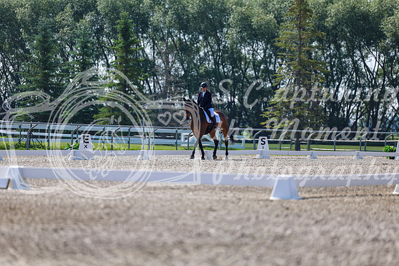 2025 - Dressage Festival - Saturday July 5th - 02328