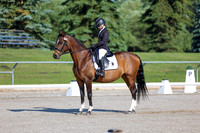 2025 - Dressage Festival - Saturday July 5th - 00426