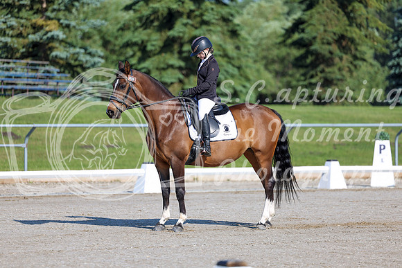 2025 - Dressage Festival - Saturday July 5th - 00426