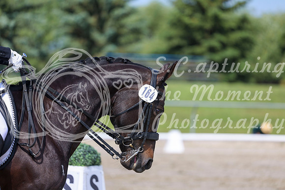 2025 - Dressage Festival - Saturday July 5th - 03557