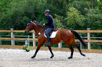 2025 - Haylee - Picco Horse Show - Saturday July 26th 06005