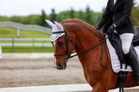 2025 - Dressage Festival - Sunday July 6th - 06083