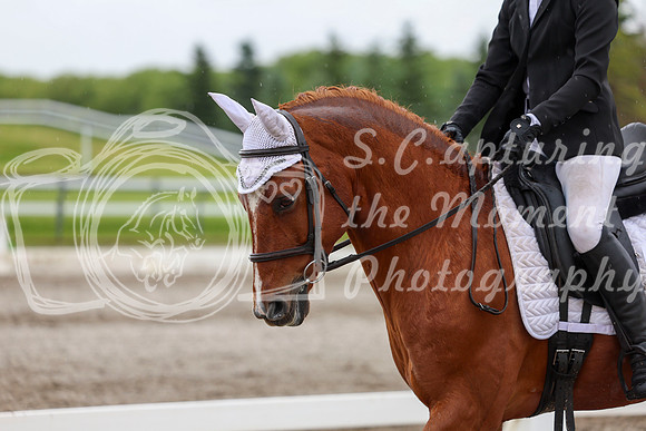 2025 - Dressage Festival - Sunday July 6th - 06083