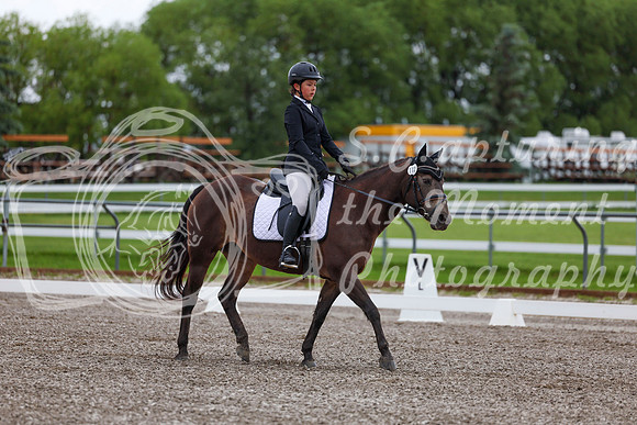 2025 - Dressage Festival - Sunday July 6th - 01630